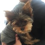 Columbus Circle Veterinary Hospital