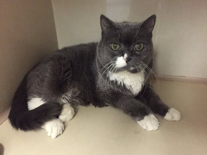 Columbus Circle Veterinary Hospital Picture 6