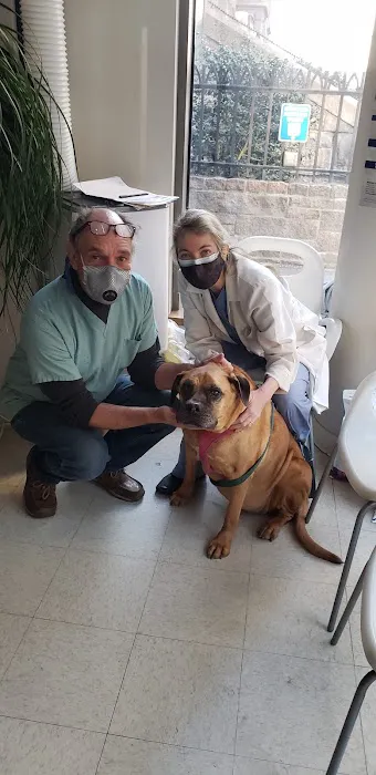 Columbus Circle Veterinary Hospital Picture 3