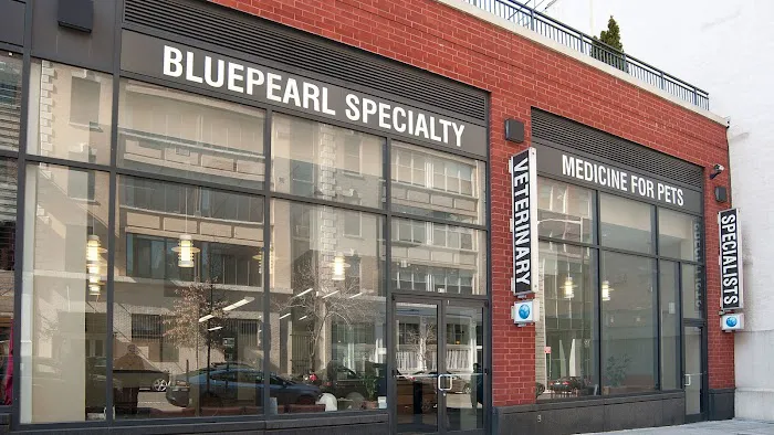BluePearl Pet Hospital Picture 9