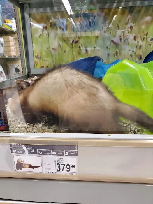 Petco Picture 6