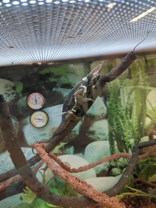 Petco Picture 8