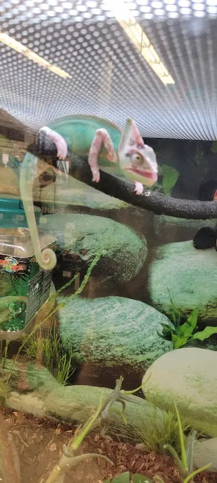 Petco Picture 9