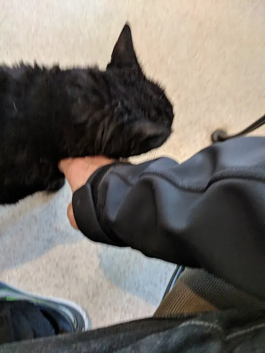 Clinton Veterinary Center Picture 6
