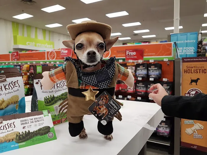 Petco Picture 8