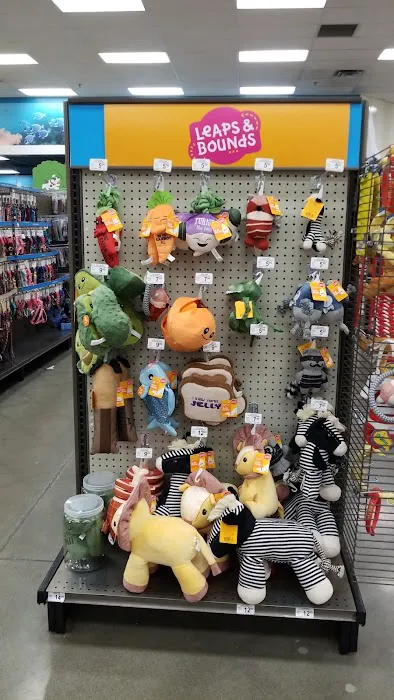 Petco Picture 6