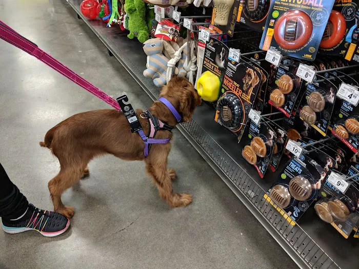 Petco Picture 5