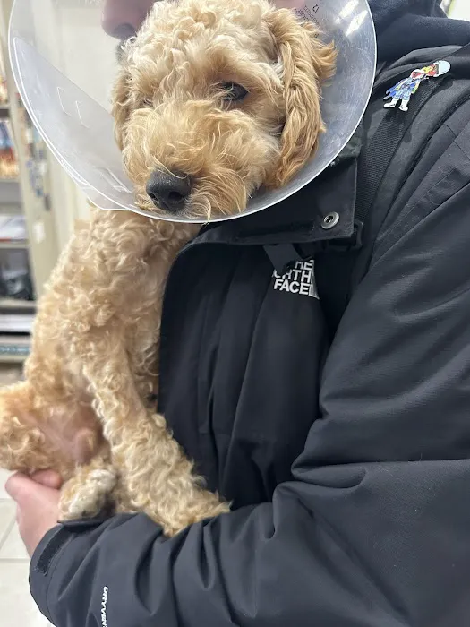 Westside Animal Hospital Picture 3