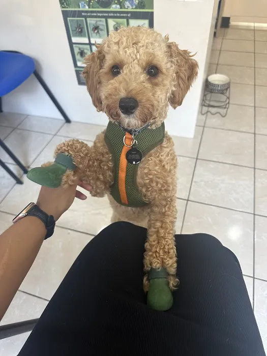 Westside Animal Hospital Picture 4