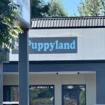 Puppyland Puyallup