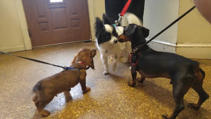 Forest Animal Hospital Picture 10