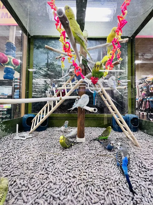 Petco Picture 4