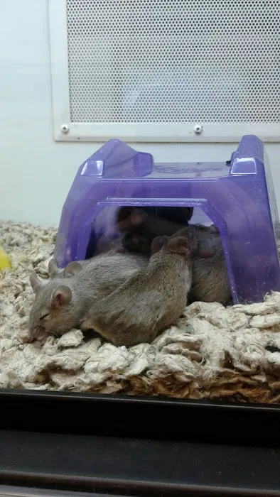 Petco Picture 6