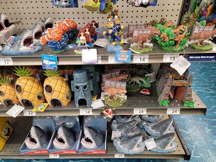 Petco Picture 10