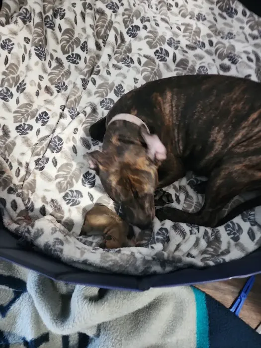 Petco Picture 5