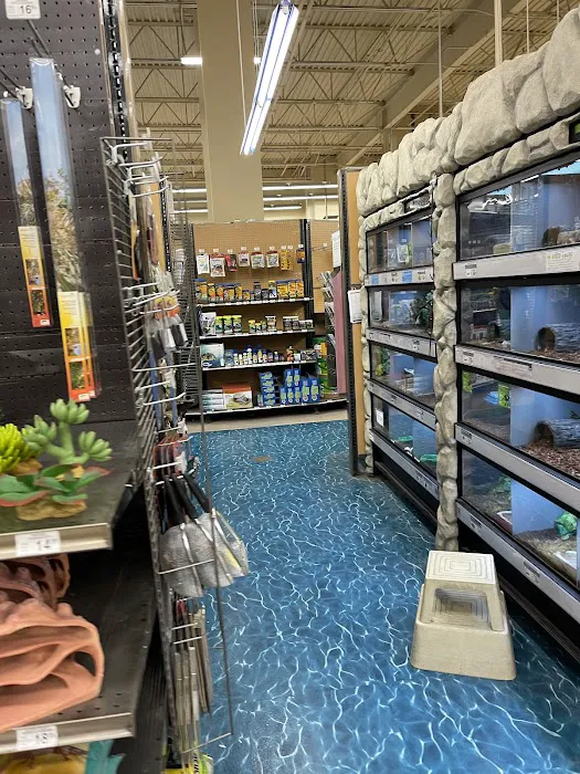 Petco Picture 2