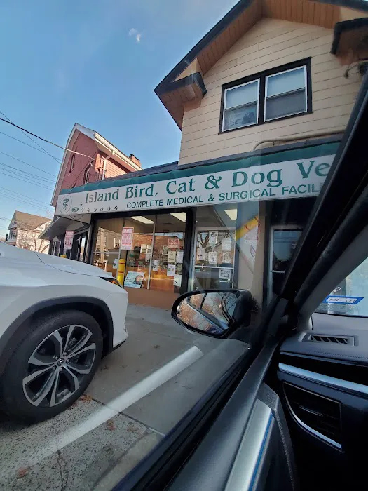 Island Bird Cat & Dog Veterinary Group Picture 7