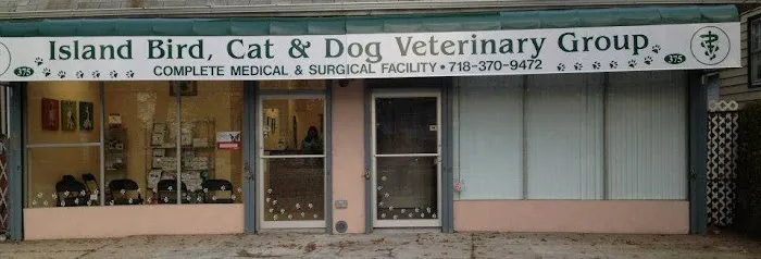 Island Bird Cat & Dog Veterinary Group Picture 1