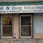 Island Bird Cat & Dog Veterinary Group