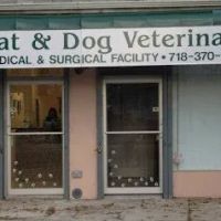 Island Bird Cat & Dog Veterinary Group ico