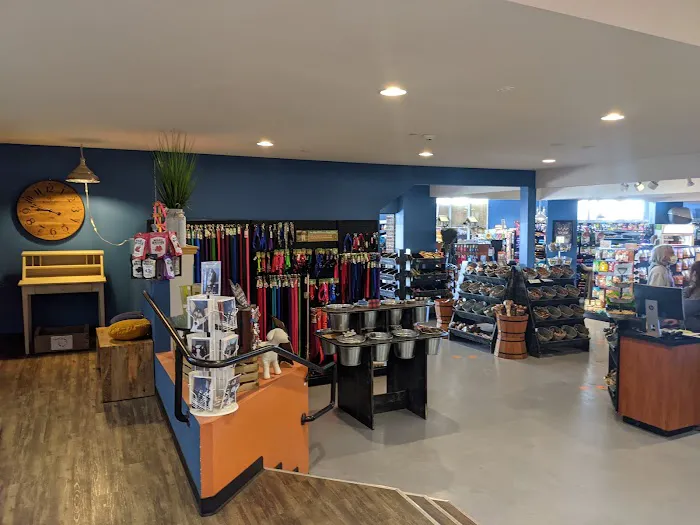 The Pet Works Picture 4