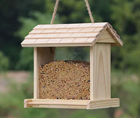 Weiks' Wild Bird Shop Picture 6