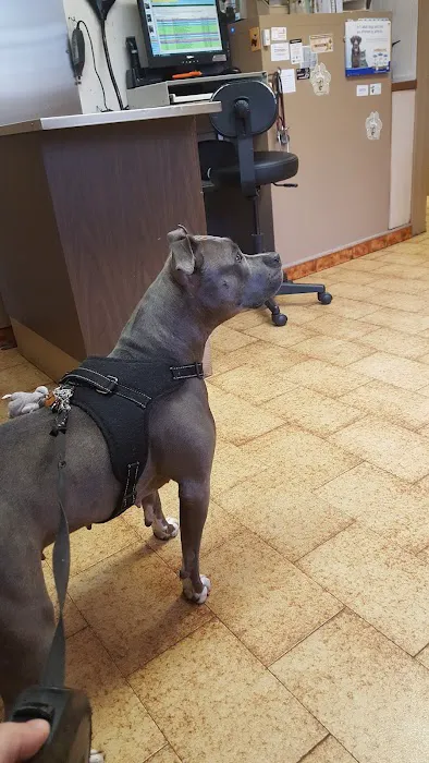 Northside Animal Hospital Picture 5
