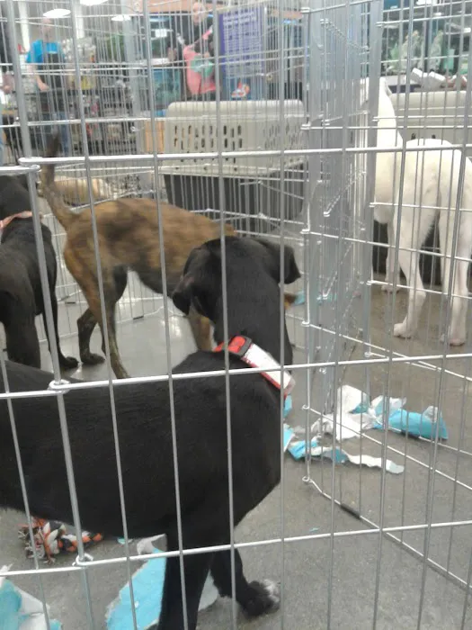 Petco Picture 9