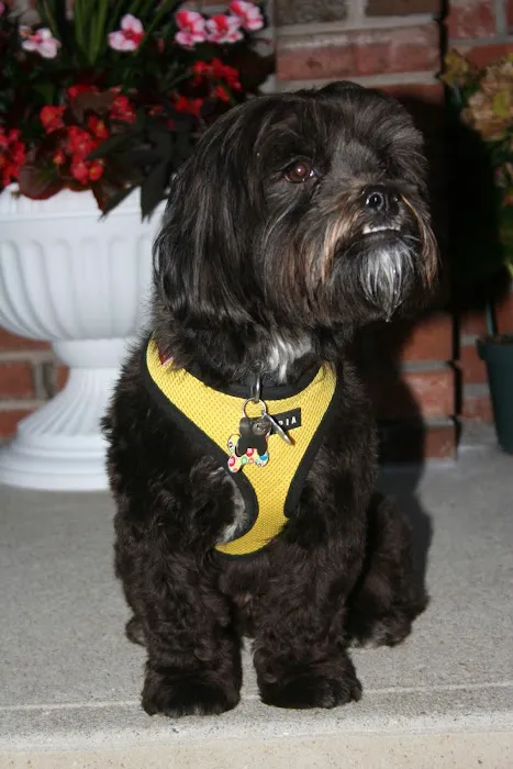 Four Corners Veterinary Practice Picture 4