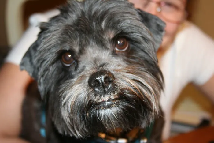 Four Corners Veterinary Practice Picture 5