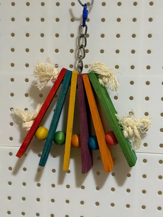 Busy Beak Boutique Picture 6