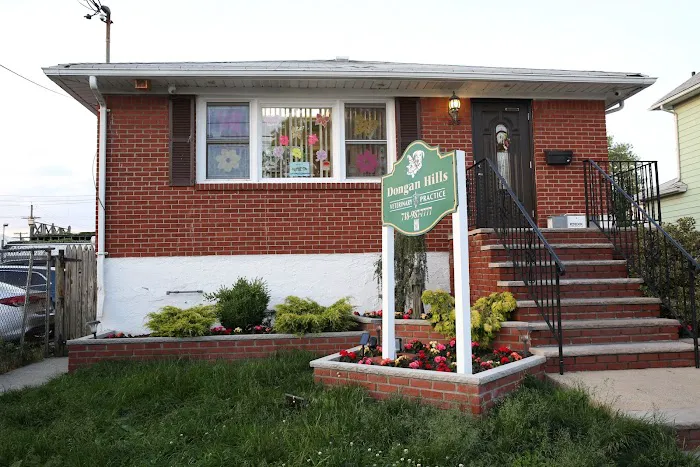 Dongan Hills Veterinary Practice Picture 4