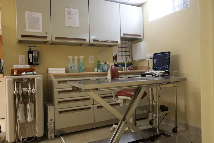 Dongan Hills Veterinary Practice Picture 2