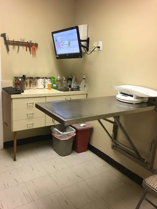 Dongan Hills Veterinary Practice Picture 3