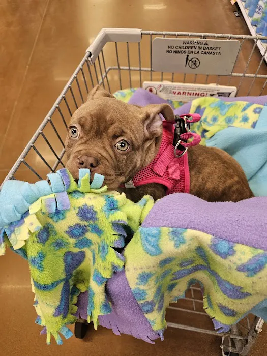 Petco Picture 10