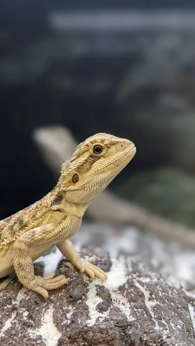 Petco Picture 1