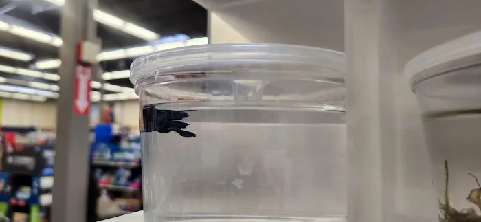Petco Picture 9