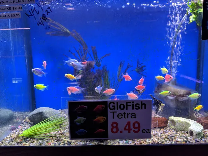 Midway Tropical Fish & Pets Picture 7