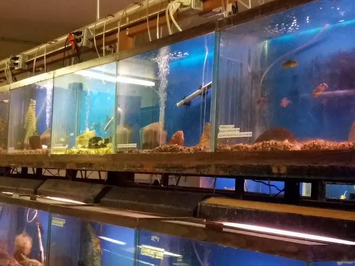 Midway Tropical Fish & Pets Picture 10