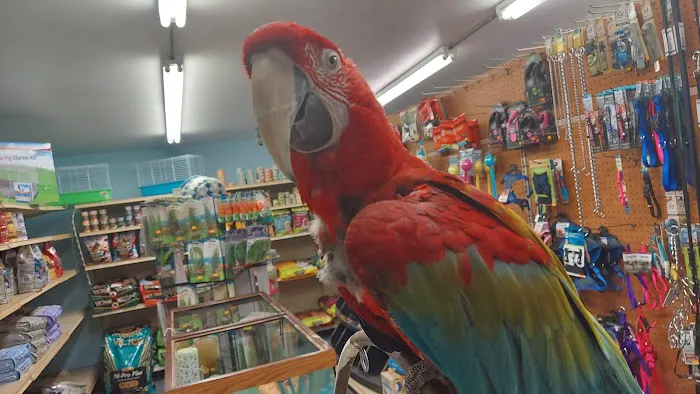 Midway Tropical Fish & Pets Picture 1
