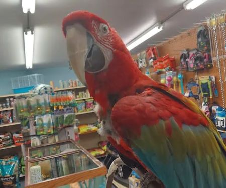 Midway Tropical Fish & Pets