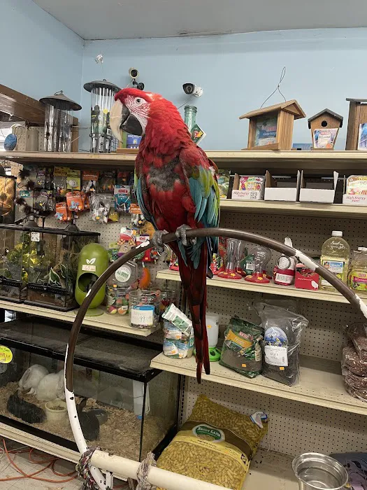 Midway Tropical Fish & Pets Picture 3