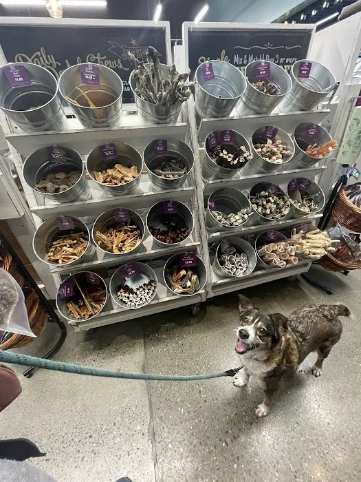 All The Best Pet Care - Burien Picture 7