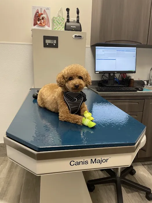 Pleasant Plains Animal Hospital North Picture 3