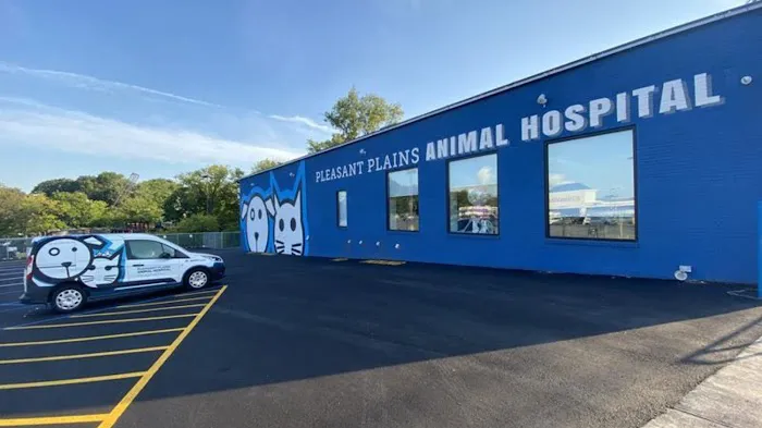Pleasant Plains Animal Hospital North Picture 2