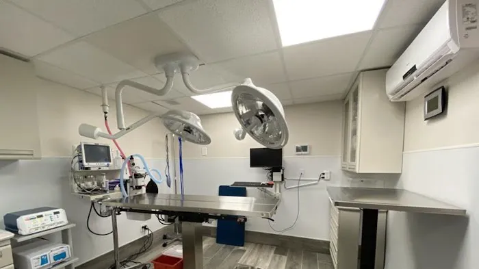 Pleasant Plains Animal Hospital North Picture 5