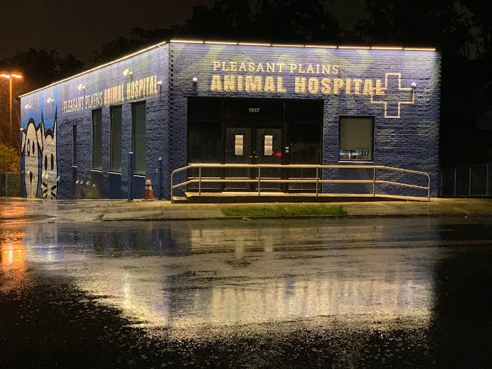 Pleasant Plains Animal Hospital North Picture 8