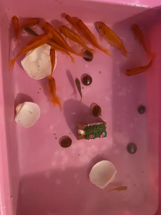 Petco Picture 1