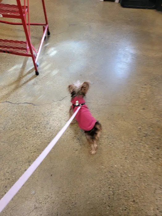 Banfield Pet Hospital Picture 2