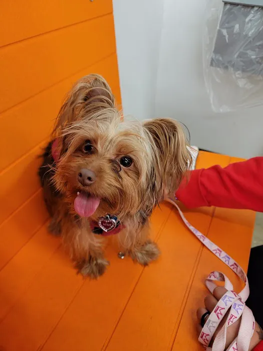 Banfield Pet Hospital Picture 1